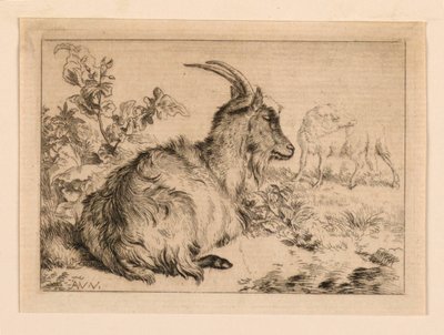 Eine Ziege von Adrian van de Velde