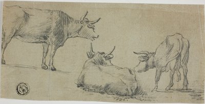 Drei Skizzen von Kühen von Aelbert Cuyp