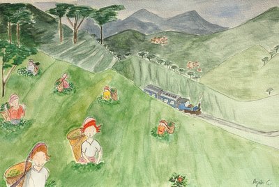 Die Reise, Darjeeling, 2015 von Agnes Girardon