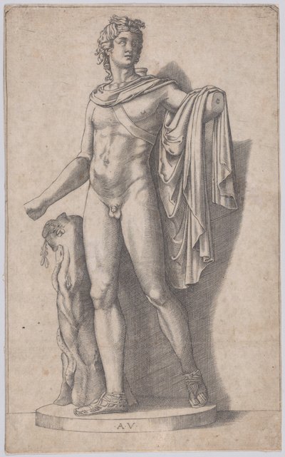 Apollo, ca. 1514-36 von Agostino Veneziano