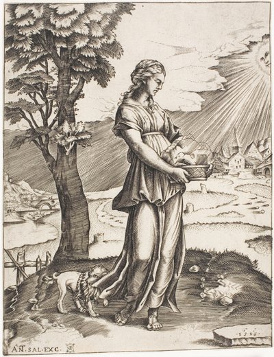 Die Kumanaische Sibylle von Agostino dei Musi