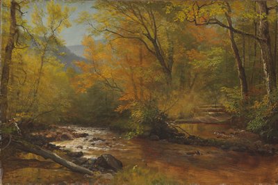 Bach im Wald von Albert Bierstadt