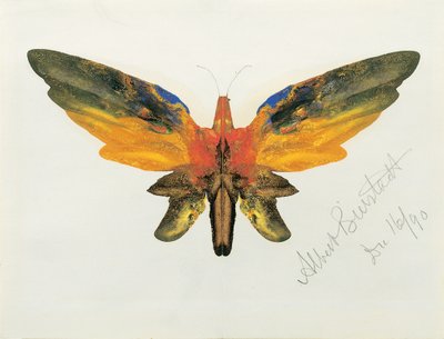 Schmetterling, 1890 von Albert Bierstadt
