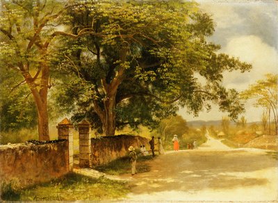 Straße in Nassau, ca. 1878 von Albert Bierstadt