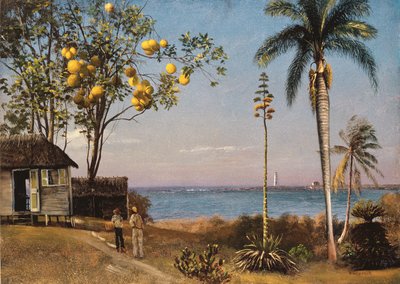 Tropische Szene von Albert Bierstadt