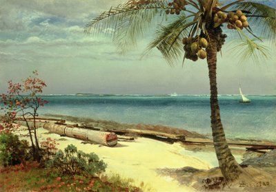Unbekanntes Bild von Albert Bierstadt