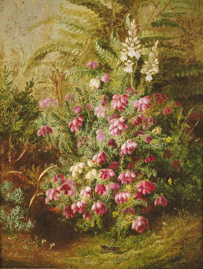 Grashüpfer und Heidekraut von Albert Durer Lucas