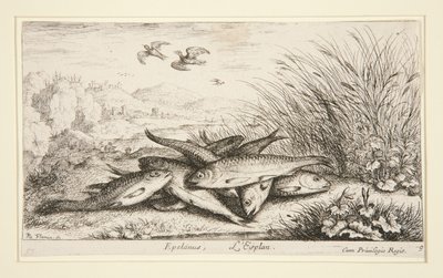 Epelanus, L von Albert Flamen