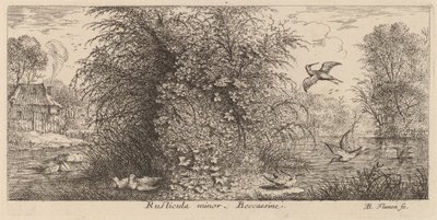 Rusticula minor, die Schnepfe von Albert Flamen
