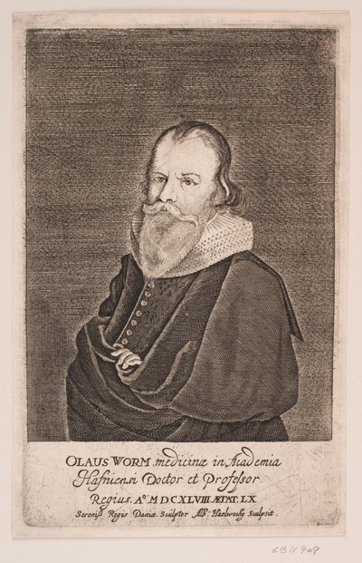 Ole Worm von Albert Haelwegh