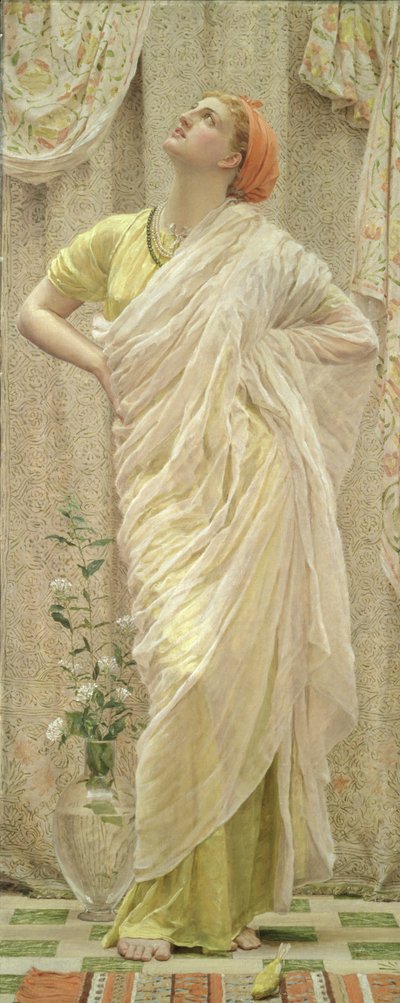 Vögel von Albert Joseph Moore