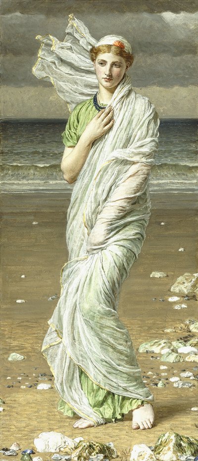 Meeresmuscheln, 1875 von Albert Joseph Moore