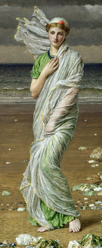 Muscheln von Albert Joseph Moore