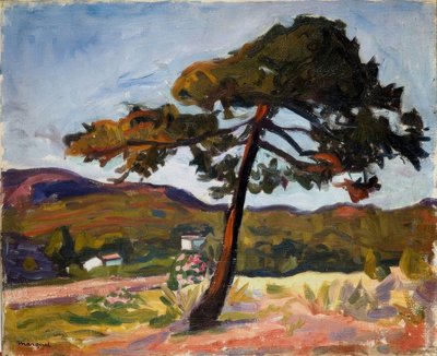 Pinie in St. Tropez von Albert Marquet