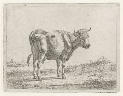 Stehende Kuh von Albertus Verhoesen