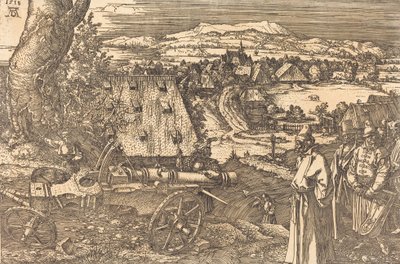 Landschaft mit der Kanone von Albrecht Dürer