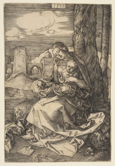 Jungfrau und Kind mit der Birne von Albrecht Dürer