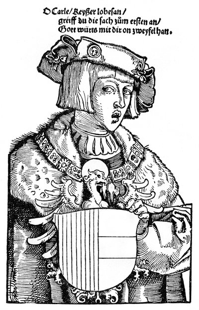 Junger Karl V. von Albrecht Dürer