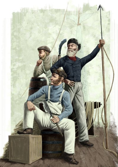 Drei Wale von Alessandro Lonati