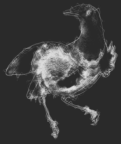 Vogel III von Alex Caminker