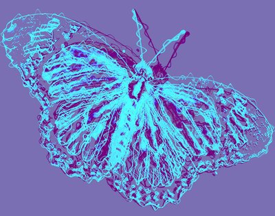 Schmetterling, 2020 von Alex Caminker
