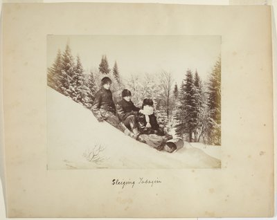 Schlittenfahren, ca. 1873 von Alexander Henderson