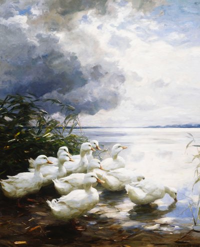 Enten am Seeufer von Alexander Koester