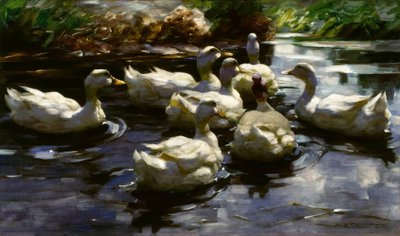 Enten im Teich von Alexander Köster