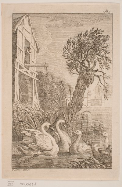 Die Gans und der Schwan von Alexia von Lode