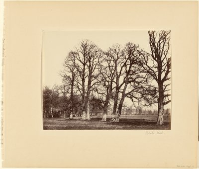 Blake Hall von Alfred Capel Cure