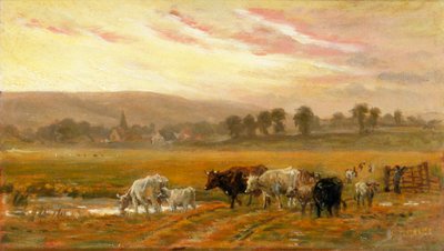 Sonnenuntergang bei Amberley von Alfred Fitzwalter Grace