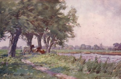 Mittag am Stour, Suffolk von Alfred Heaton Cooper