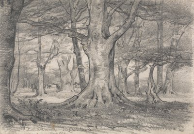 Waldlandschaft in der Nähe von Boldrewood von Alfred Parsons