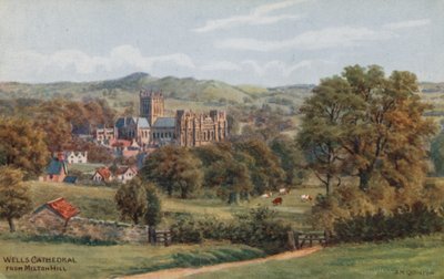 Wells Cathedral von Milton Hill von Alfred Robert Quinton