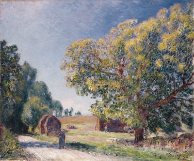 Eine Lichtung im Wald, 1895 von Alfred Sisley