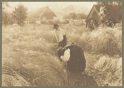 Früher Morgen von Alfred Stieglitz