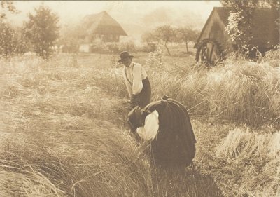 Früher Morgen von Alfred Stieglitz