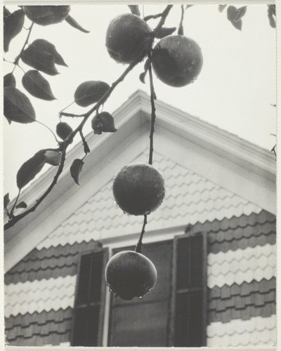 Giebel und Äpfel von Alfred Stieglitz