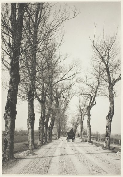 Novembertage von Alfred Stieglitz