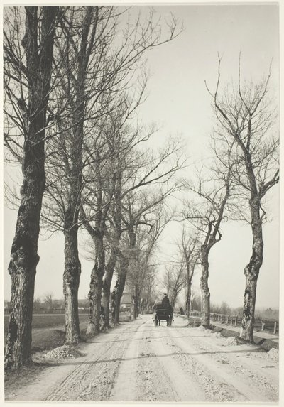 Novembertage, 1887, gedruckt 1920-39 von Alfred Stieglitz