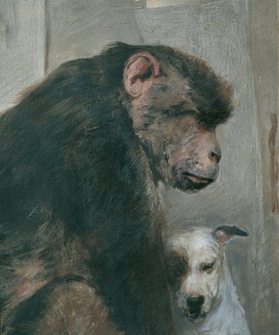 Affe und Hund von Alfred Wesemann