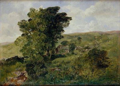 Ansicht von Nantlle, Caernarvonshire, 1855 von Alfred William Hunt