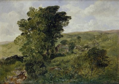 Ansicht von Nantlle, Caernarvonshire, 1855 von Alfred William Hunt