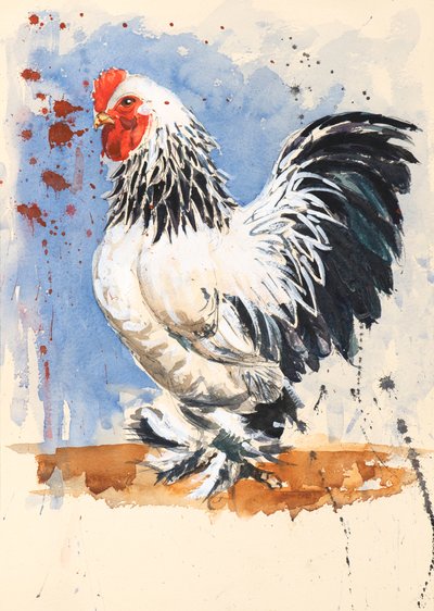 Brahma Bantam Hahn von Alison Cooper