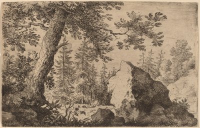 Fels im Wald von Allart van Everdingen