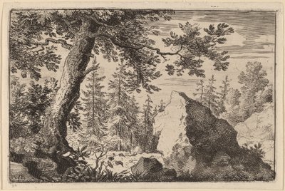 Fels im Wald von Allart van Everdingen