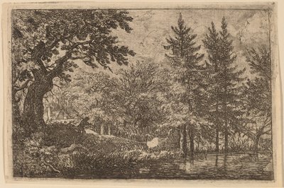 Tannen am Wasser von Allart van Everdingen