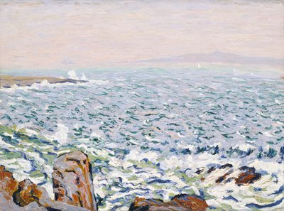 Brandung auf Cranberry Island von Allen Tucker