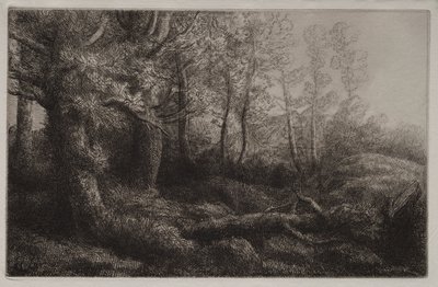 Eine Waldstudie von Alphonse Legros