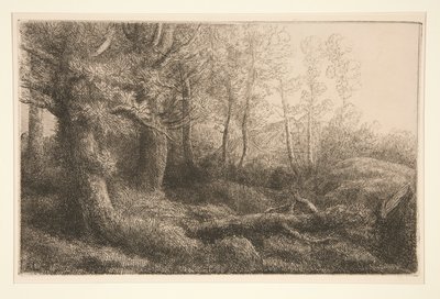 Eine Waldstudie von Alphonse Legros